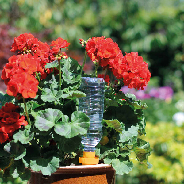 Hozelock 4 Stk. Bew&auml;sserungskegel Aquasolo Gro&szlig;