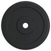 vidaXL Hantelscheibe 20 kg Gusseisen