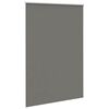 vidaXL Verdunkelungsrollo Grau 160x210cm Stoffbreite 156,6cm Polyester