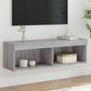 vidaXL TV-Schrank mit LED-Leuchten Grau Sonoma 100x30x30 cm