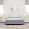 vidaXL Boxspringbett mit Matratze Hellgrau 160 x 200 cm Stoff