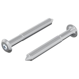 vidaXL Schraube 2 stk. Silber M6 x 50 mm Stahl