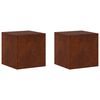 vidaXL Pflanzenst&auml;nder 2 pcs Rostoptik 40 x 40 x 40 cm Wetterfeststahl