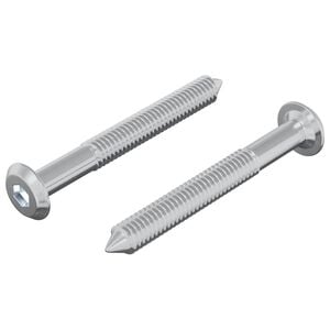 vidaXL Schraube 2 pcs Silber M6 x 50 mm Stahl