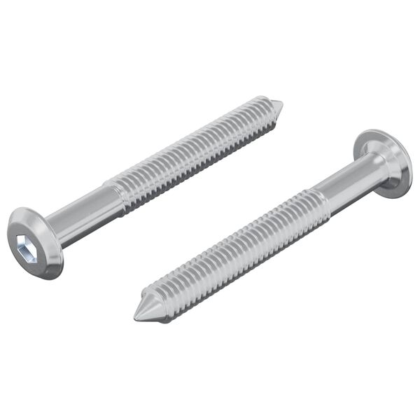 vidaXL Schraube 2 pcs Silber M6 x 50 mm Stahl