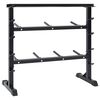vidaXL Hantel Rack Schwarz 99 x 45 x 95,5 cm Pulverbeschichteter Stahl