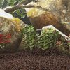 Produkt-Miniaturbild 2 von 5