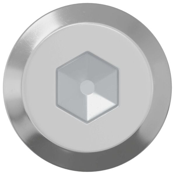 vidaXL Schraube 2 pcs Silber M6 x 50 mm Stahl