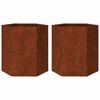 vidaXL Pflanzk&uuml;bel 2 Stk. Sechseckig 46x40x45 cm Wetterfester Stahl