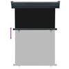 vidaXL Balkon-Seitenmarkise 125x250 cm Schwarz