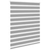 vidaXL Doppelrollo Seitenzug 120 x 175 cm grau