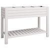 vidaXL Hochbeet Wei&szlig; 110x45x79 cm Polypropylen