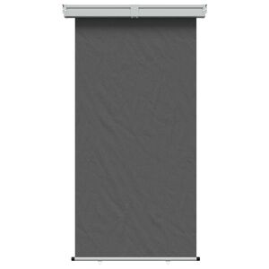 vidaXL Balkon Seitenmarkise 100% Polyester Eisen Stahl