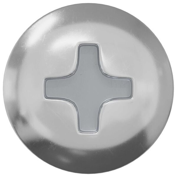 vidaXL Selbstschneidender Nagel 9231 pcs Zink-beschichtet Stahl