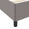 vidaXL Boxspringbett Taupe 120 x 190 cm Stoff