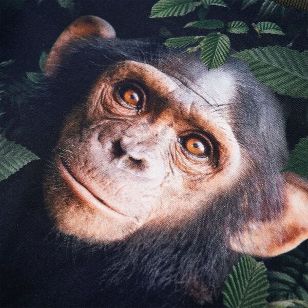 Kinder-Sweatshirt Khaki 128