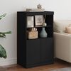 vidaXL Sideboard mit LED-Leuchten Schwarz 60,5x37x100 cm