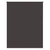 vidaXL Au&szlig;en-Rollos mit UV-Schutz Anthrazit 100 x 230 cm (B x H)