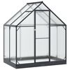 vidaXL Garten Gew&auml;chshaus mit T&uuml;r Anthrazit 183,5 x 123 x 207 cm