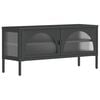 vidaXL TV-Schrank Schwarz 105x35x50 cm Glas und Stahl