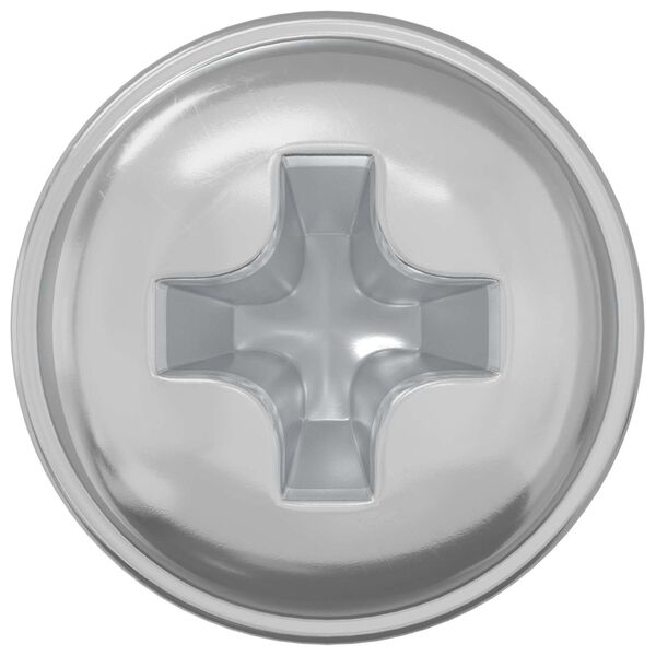 vidaXL Schloss-Schrauben 2 pcs Silber M4 x 5 mm Eisen