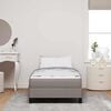 vidaXL Boxspringbett mit Matratze Taupe 100 x 200 cm Stoff