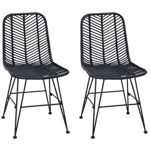 vidaXL Esszimmerstuhl 2 pcs Schwarz 44 x 47 x 85 cm Rattan und Eisen