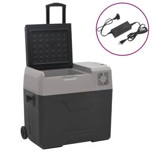 vidaXL K&uuml;hlbox mit Rollen und Adapter Schwarz & Grau 30 L Polypropylen