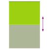 vidaXL Verdunkelungsrollo Gr&uuml;n 160x210cm Stoffbreite 156,6cm Polyester