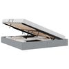 vidaXL Aufbewahrungsbett mit Speicher Hellgrau 180 x 200 cm Stoff