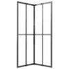 vidaXL Duschkabine Matt ESG 80x80x180 cm Schwarz