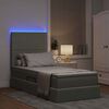 vidaXL Bett mit Stauraum und LED mit LED Hellgrau 100 x 200 cm Samt