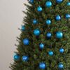 Produkt-Miniaturbild 3 von 10