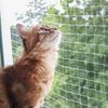 Kerbl Katzen-Schutznetz 6x3 m Transparent