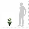 Produkt-Miniaturbild 3 von 3