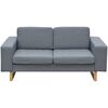 vidaXL 2-Sitzer und 3-Sitzer Sofa Set Hellgrau