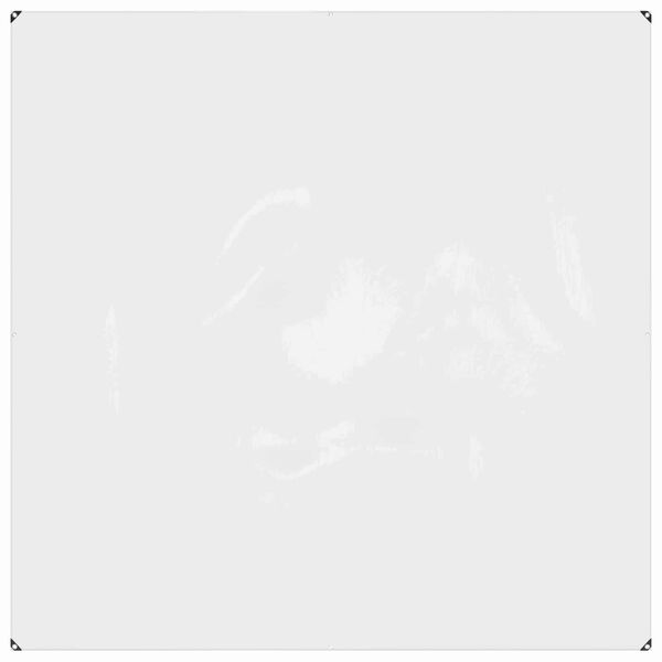 vidaXL Plane mit &Ouml;sen Transparent 2 x 2 m Polyethylen