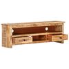 vidaXL TV-Schrank 120x30x40 cm Raues Mangoholz