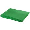 vidaXL Fotohintergrund ohne St&auml;nder Baumwolle Gr&uuml;n 300x300 Chroma-Key