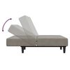vidaXL Schlafsofa 2-Sitzer mit Fu&szlig;hocker Hellgrau Samt