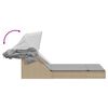 vidaXL Doppel-Sonnenliege mit Dach und Auflagen Beige Poly Rattan
