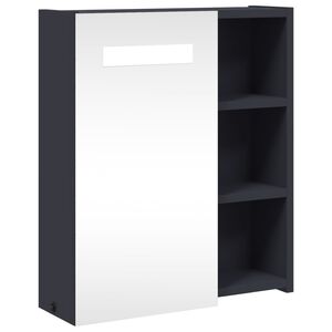 vidaXL Spiegelschrank mit LED-Beleuchtung Grau 45x13x52 cm