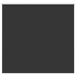 vidaXL Verdunkelungsrollo Schwarz 165x130 cm Stoffbreite 161,6 cm