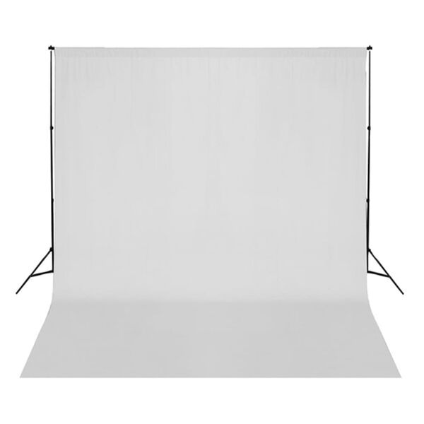 vidaXL Fotostudio-Set mit Softbox-Leuchten, Hintergrund und Reflektor