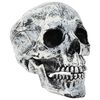 vidaXL Halloween-Totenkopf SPOOKA 2 stk. Wei&szlig; 12 x 15 x 17,5 cm