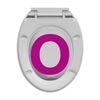 vidaXL Toilettensitz mit Absenkautomatik Quick-Release Hellgrau Oval