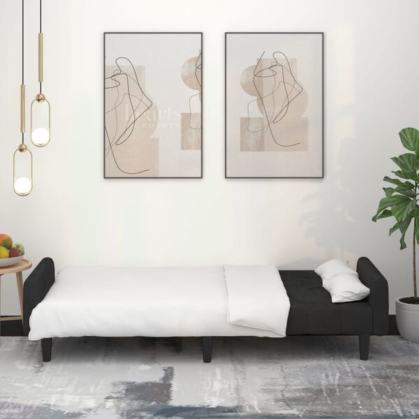 vidaXL Schlafsofa 2-Sitzer Schwarz Samt