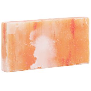 vidaXL Salzsteine 10 pcs Rosa 20 x 2,5 x 10 cm Steinsalz