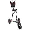 vidaXL Golf-Dolly Schwarz 110 x 60 x 132 cm Eisen