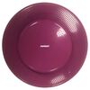 FitPAWS Balance-Scheibe f&uuml;r Haustiere 56 cm Razzleberry